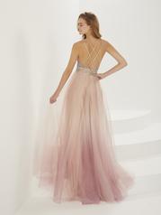 16925 Pink Ombre back