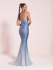 12803 Blue Ombre back