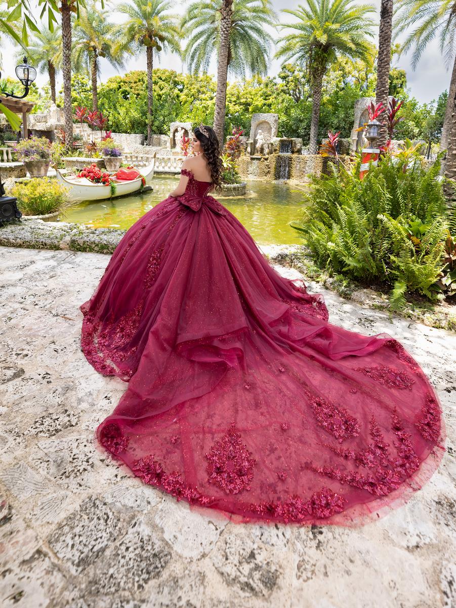 burgundy quinceanera dresses with sleeves Quinceanera Collection 26105 Diane & Co NJ|Premiere Designer Prom and  Pageant Store|The store in New Jersey selling the most unique prom dresses