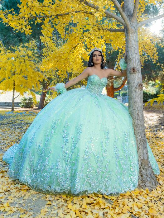 Quinceanera and Prom Gowns 26094