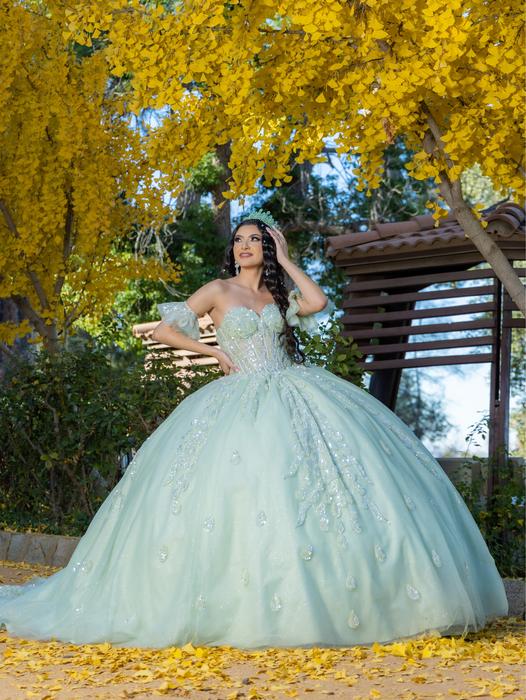Lizluo Quinceanera by House of Wu 26096