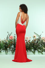 31146 Red/Nude back