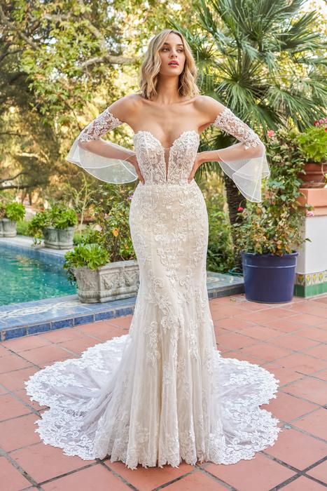 Couture Bridal T242065