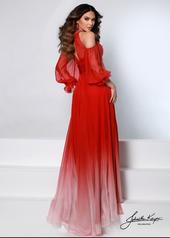 2541 Cherry Ombre back