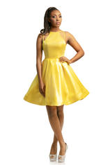 9207 Canary Yellow front