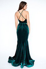 10005L Green/Nude back