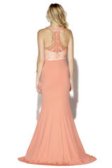 16173 Coral/Nude back
