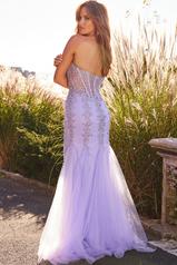 22538 Lilac/Silver back