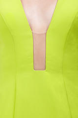 22764 Lime detail