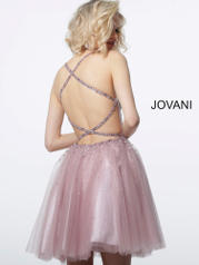 3627 Rose/Ombre back