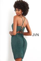 JVN04562 Emerald back