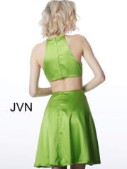 JVN2181 Green back