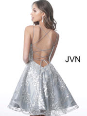JVN2451 Silver back