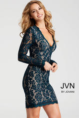 JVN42635 Peacock front