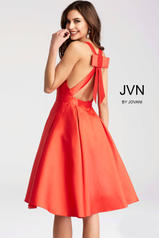 JVN50075 Red back
