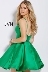 JVN52141 Green back