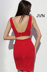 JVN66224 Red back