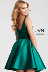 JVN53054 Green back