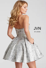 JVN53203 Silver back