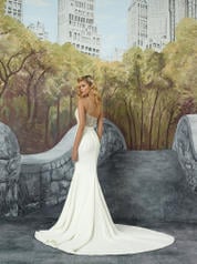 8935 Champagne/Ivory/Silver back