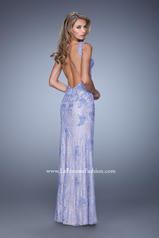 20641 Periwinkle back