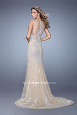 21556 Silver/Nude back