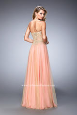 22331 Coral/Nude back