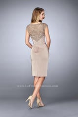 23266 Taupe back