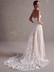 24MS185A01 Ivory Over Blush Gown With Natural Illusion back