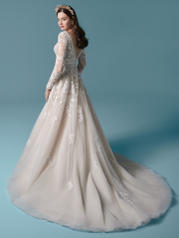 20MS729 Ivory/Blush Accent Over Champagne Gown With Nude I back