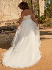 22MS528 All Ivory Gown With Ivory Illusion back