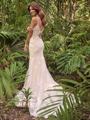 24MS238A01 Ivory/Silver Accent Over Blush Gown With Natural I back