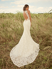 21RK343 Antique Ivory Gown With Ivory Illusion back