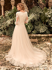 21RS346A01 Ivory Over Nude Gown With Nude Illusion-pictured back