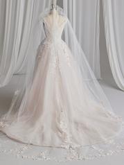 23SW657A01 Ivory/Blush And Gold Accent Over Rose Gold Gown Wi back