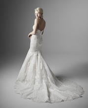 20SW205 Ivory Gown With Nude Illusion back