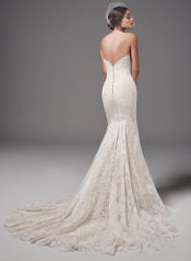 Phillipa-7SS382 Ivory Over Champagne back