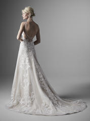 20SW198 Ivory Over Nude Gown With Nude Illusion back