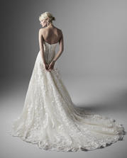 20SS265 All Ivory Gown With Ivory Illusion back