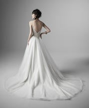 20SC184 Ivory Shimmer Gown With Nude Illusion back