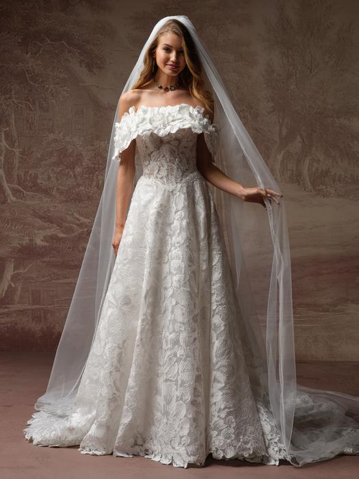 Sottero and Midgley-Merrigan F6SK053A01
