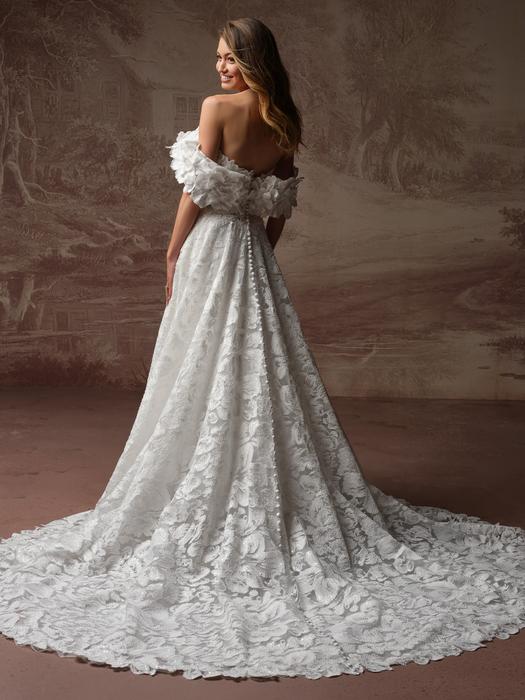 Sottero and Midgley-Merrigan F6SK053A01