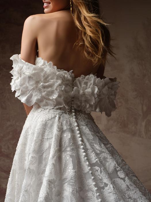 Sottero and Midgley-Merrigan F6SK053A01