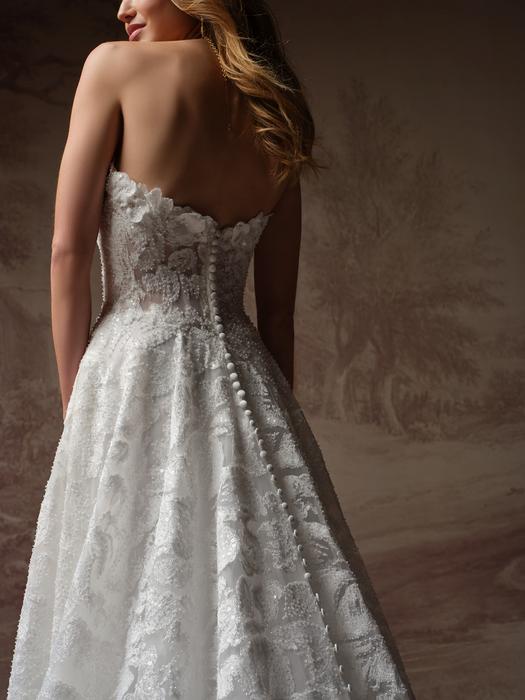 Sottero and Midgley-Merrigan F6SK053A01