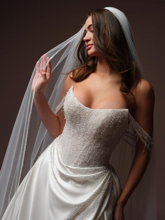 Sottero and Midgley-Rumi F6SS023A01