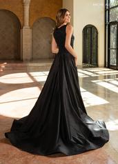 RB8214 Black back