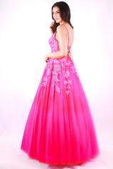 27765 Neon Pink back