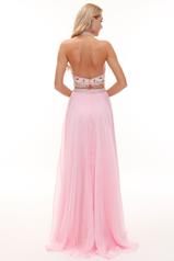 32146 Ice Pink back