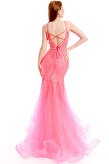 36005 Neon Coral Pink back