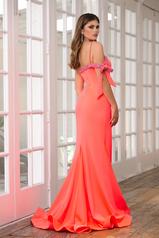 39304 Neon Coral back